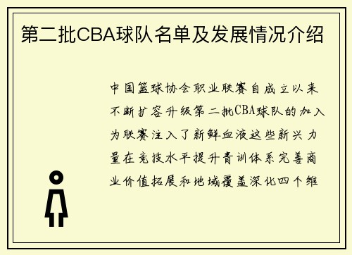 第二批CBA球队名单及发展情况介绍